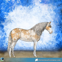 Horse Color:Silver Buckskin Ice Sabino Rabicano 