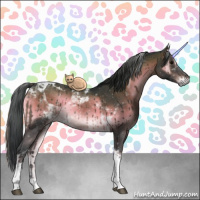 Horse Color:Brown Onyx Tobiano Rabicano 