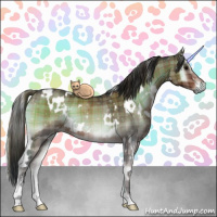 Horse Color:Plaid  White Spotted Brown Onyx Sabino 