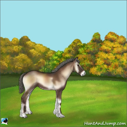 Horse Color:Liver Red Onyx Mushroom Rabicano 