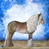 Horse Color:Liver Chestnut Mushroom Rabicano 