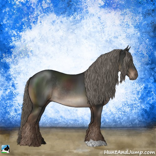 Horse Color:Liver Chestnut Mushroom Rabicano 