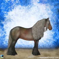 Horse Color:Liver Chestnut Mushroom Rabicano 
