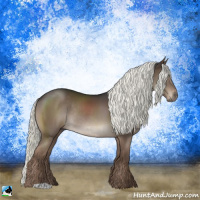Horse Color:Liver Chestnut Mushroom Rabicano 