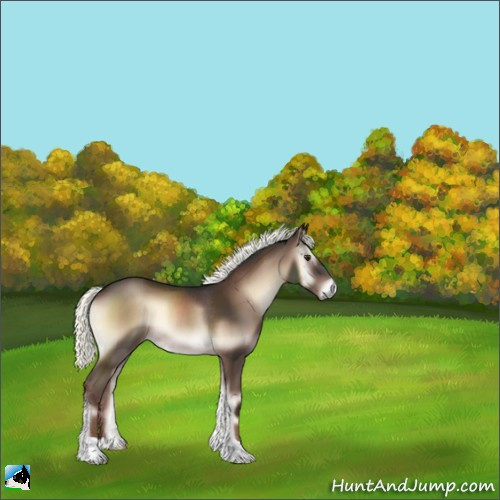 Horse Color:Liver Red Onyx Mushroom Rabicano 