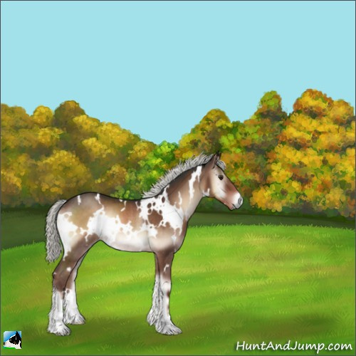 Horse Color:White Spotted Liver Red Onyx Mushroom Rabicano 