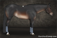 Horse Color:Brown Tobiano Rabicano 