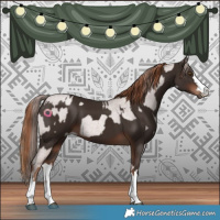 Horse Color:Platinum Blue Roan Pearl  and Liver Chestnut 