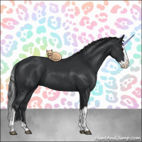Horse Color:Black and Black Splash