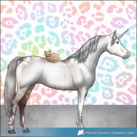 Horse Color:Gray Chocolate Brown Dun Sabino Tobiano Rabicano Brindle 