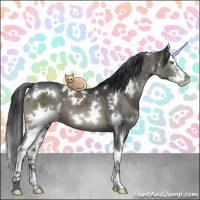 Horse Color:White Spotted Grullo Splash Brindle