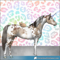 Horse Color:Gray White Spotted Grullo Pearl Tobiano Brindle