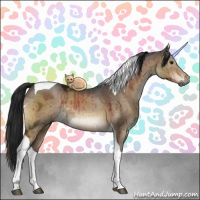 Horse Color:Gray Brown Ice Dun Sabino Tobiano Brindle 