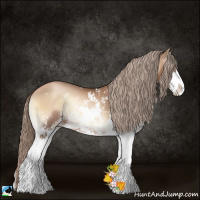 Horse Color:Liver Red Onyx Pearl Sabino Rabicano 