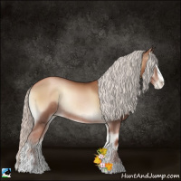 Horse Color:Silver Brown Pearl Onyx Sabino Rabicano 
