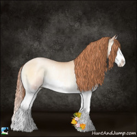 Horse Color:Sable Champagne Pearl Onyx Splash Rabicano