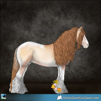Horse Color:Bay Pearl Onyx Sabino Tobiano Rabicano 