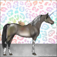 Horse Color:Brown Dun Mushroom Tobiano Brindle 
