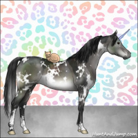 Horse Color:Gray Platinum White Spotted Brown Dun Sabino 