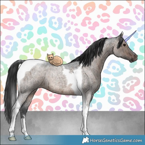 Horse Color:Brown Ice Roan Dun Tobiano Brindle 