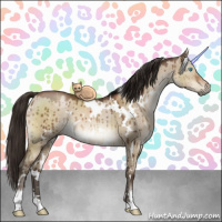 Horse Color:Gray White Spotted Brown Pearl Dun Mushroom Sabino Brindle 