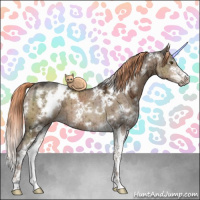 Horse Color:White Spotted Liver Red Dun Ice Sabino Brindle 