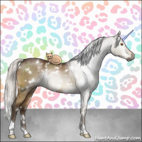 Horse Color:Gray White Spotted Silver Buckskin Dun Brindle 
