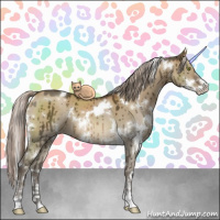 Horse Color:White Spotted Chocolate Palomino Dun Mushroom Sabino Brindle 