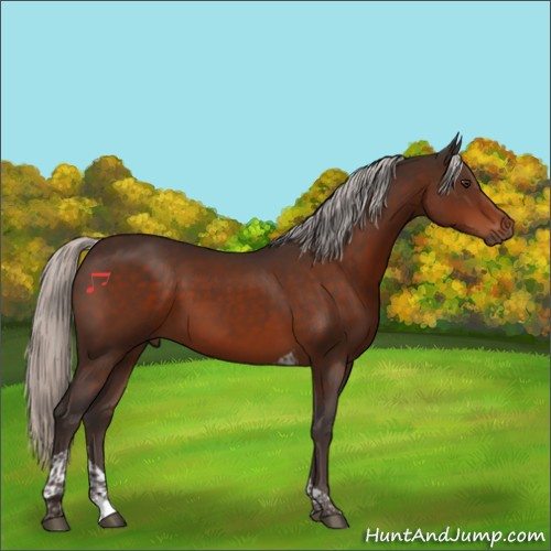 Horse Color:Silver Brown Tobiano 
