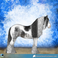 Horse Color:White Spotted Black Ice Splash Tobiano 