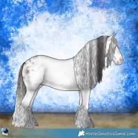 Horse Color:White Spotted Bay Ice Sabino Splash 