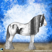 Horse Color:White Spotted Black Ice Splash Tobiano Rabicano 