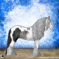 Horse Color:Black Ice Sabino Tobiano Rabicano