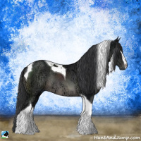 Horse Color:Black Ice Sabino Tobiano Rabicano 