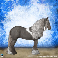 Horse Color:Silver Black Sabino Tobiano