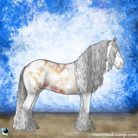 Horse Color:Bay Onyx Sabino Splash
