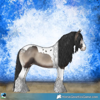 Horse Color:Blue Onyx Sabino Tobiano Rabicano 