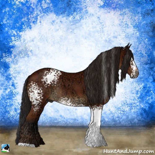 Horse Color:Gray White Spotted Brown Ice Rabicano 