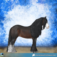 Horse Color:Brown Sabino 