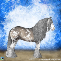 Horse Color:Blue Onyx Sabino Splash Rabicano 
