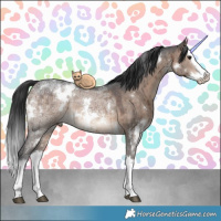 Horse Color:White Spotted Brown Ice Dun Sabino Splash Brindle 