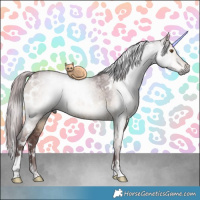 Horse Color:Gray White Spotted Chocolate Brown Dun Rabicano Brindle 