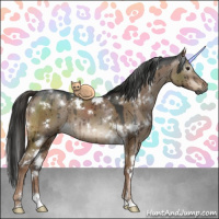 Horse Color:Gray White Spotted Liver Red Dun Brindle 