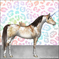 Horse Color:Gray White Spotted Brown Pearl Dun Brindle