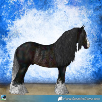Horse Color:Midnight Brown Rabicano