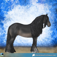 Horse Color:Black Sabino