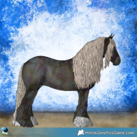 Horse Color:Midnight Chocolate Palomino Ice Onyx Rabicano 