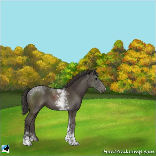 Horse Color:Smoky Black Tobiano Rabicano 