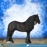 Horse Color:Midnight Blue Onyx Ice