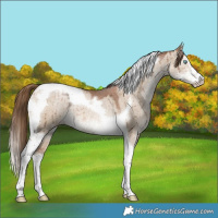 Horse Color:Brown Ice Pearl Dun Sabino Tobiano Brindle